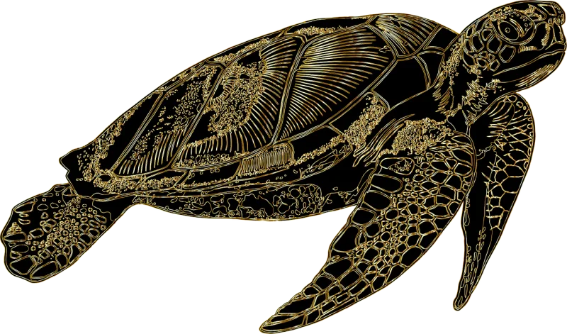Sea turtle Turtle Animal Stickdatei – Sport
