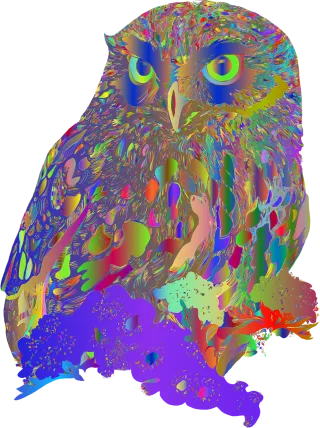 Owl Bird Animal Stickdatei