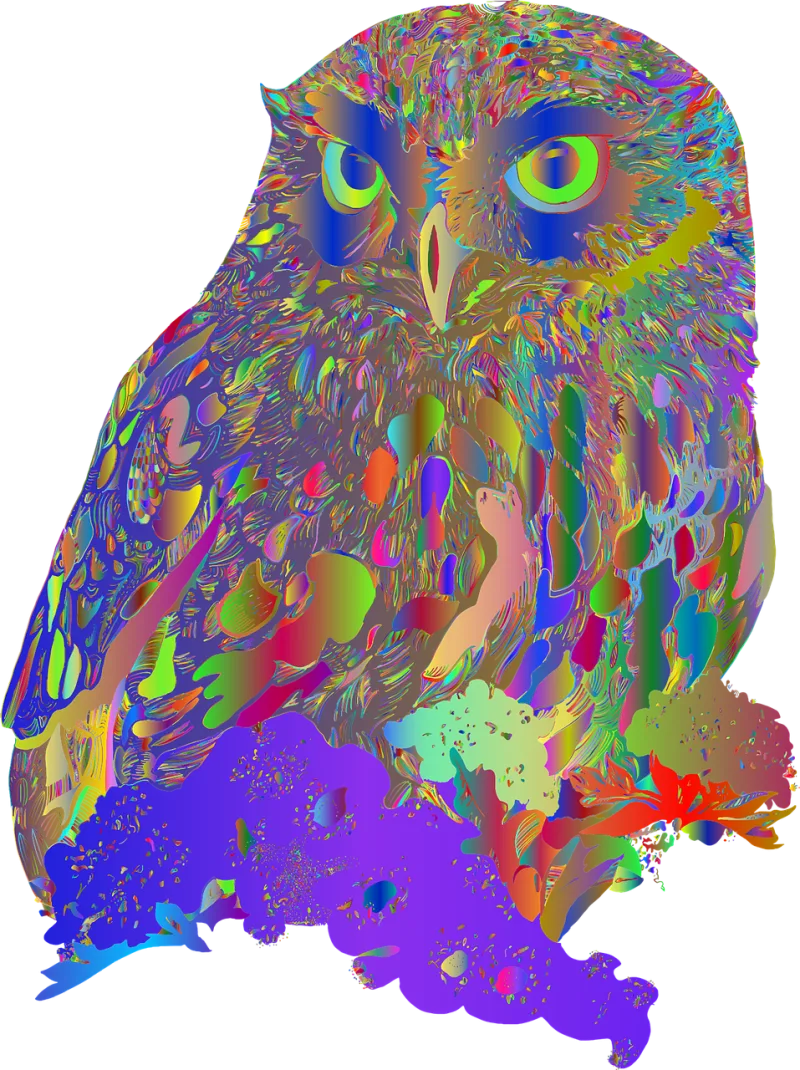 Owl Bird Animal Stickdatei – Tiere