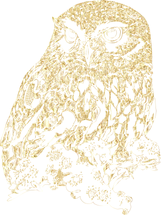 Owl Nature Bird Stickdatei