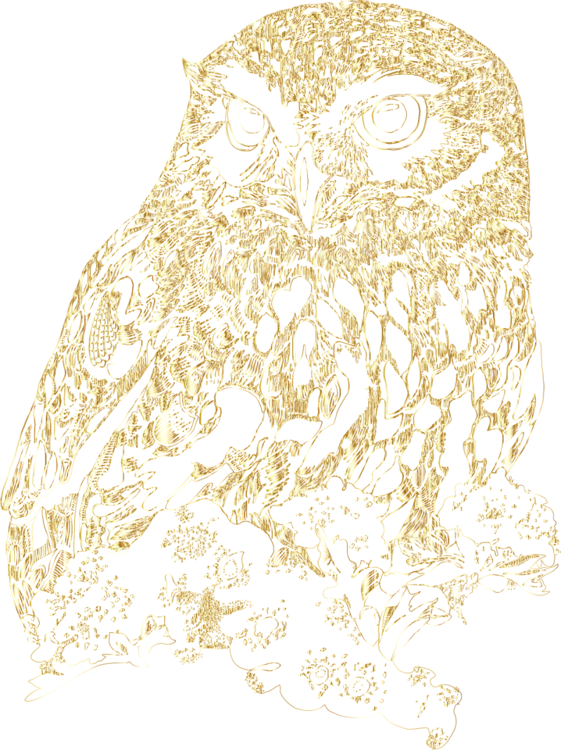 Owl Nature Bird Stickdatei – Tiere