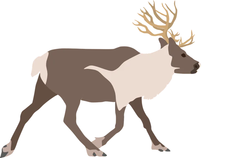 Reindeer Deer Nature Stickdatei – Weihnachten