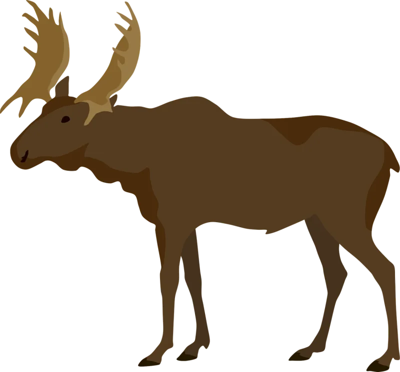 Moose Deer Nature Stickdatei – Tiere
