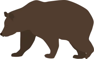 Bear Brown bear Animal Stickdatei