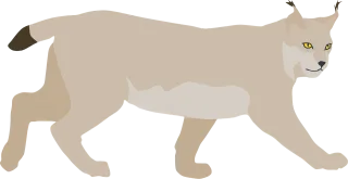 Lynx Wildcat Pet Stickdatei