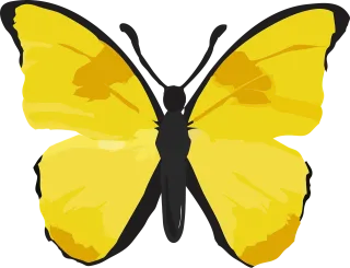 Butterfly Yellow butterfly Insect Stickdatei