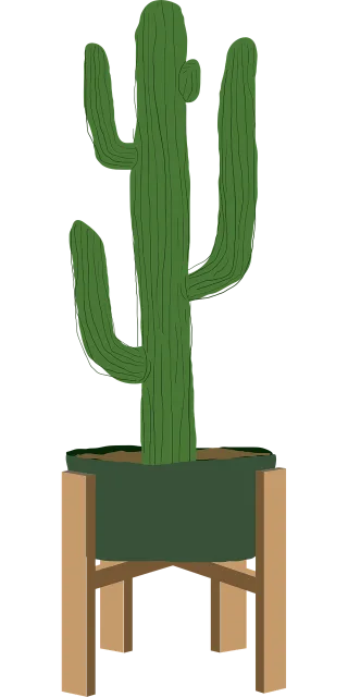 Boho art Cactus Plant Stickdatei – Natur