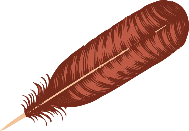 Turkey feather Feather Plumage Stickdatei – Natur