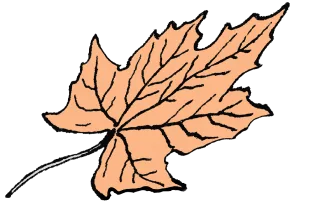 Autumn leaf Autumn Leaf Stickdatei