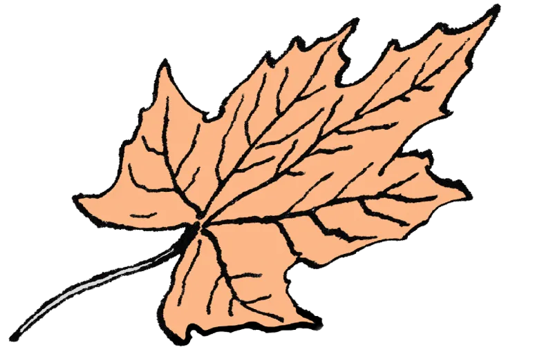 Autumn leaf Autumn Leaf Stickdatei – Natur