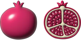 Pomegranate Fruit Sliced pomegranate Stickdatei