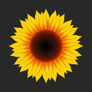 Sunflower Flower background Flower wallpaper Stickdatei