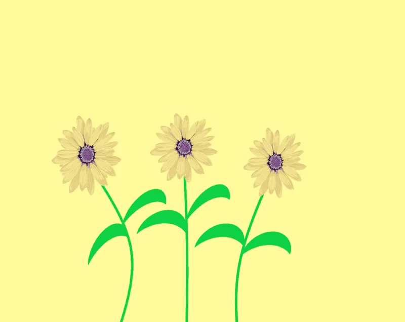 Daisy Nature Flower wallpaper Stickdatei – Blumen