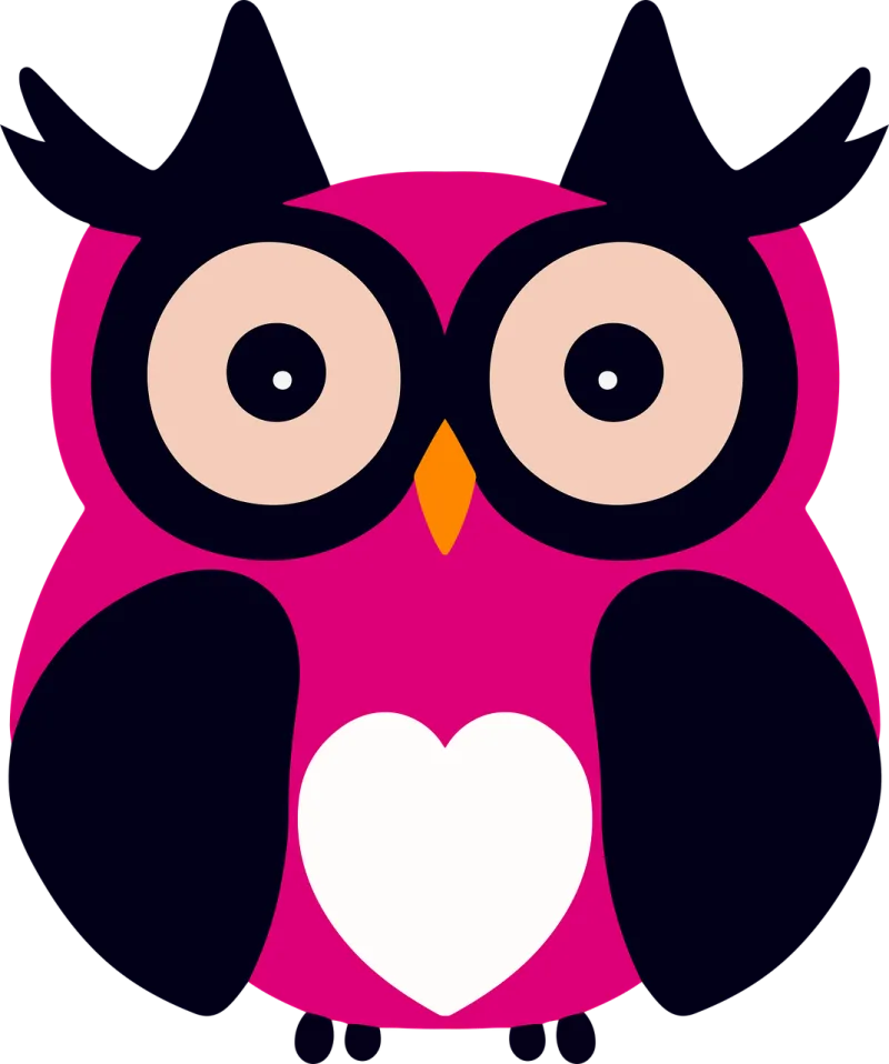Owl Bird Cartoon owl Stickdatei – Tiere