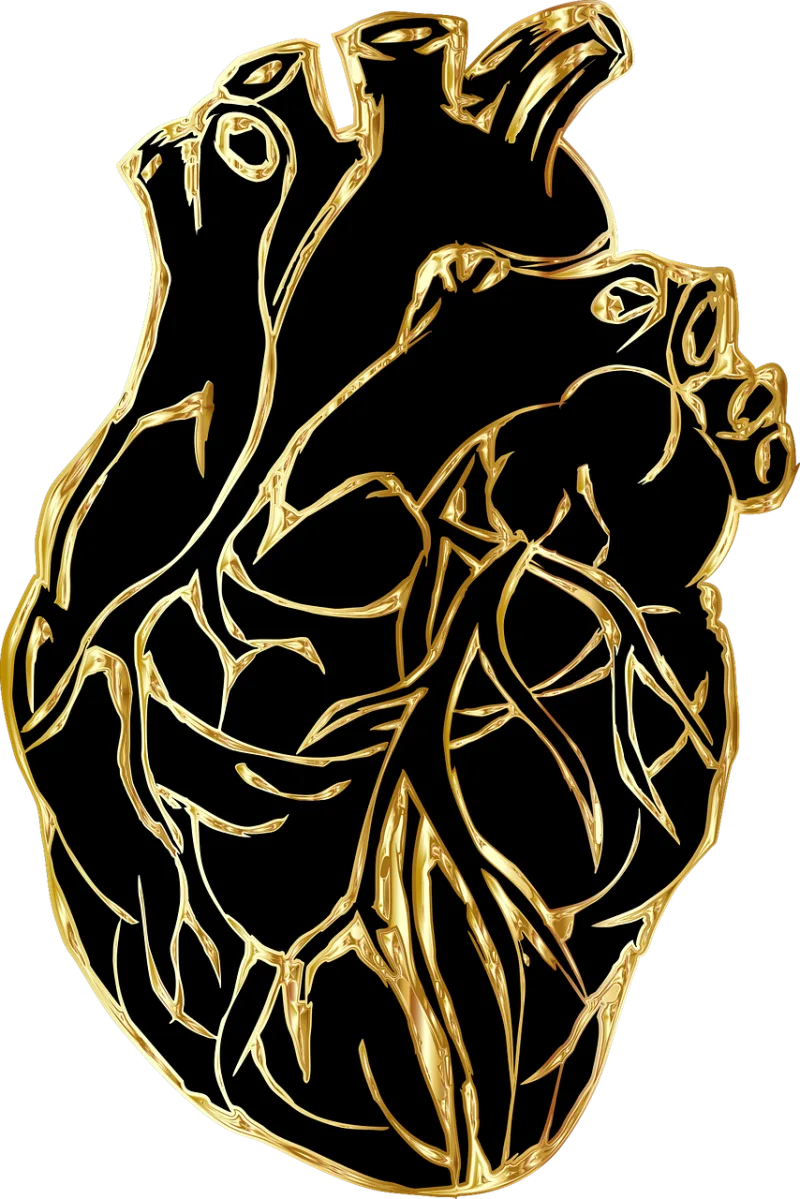 Heart Organ Line art Stickdatei – Herzen & Liebe