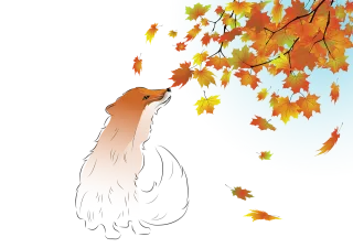Fox Branches Autumn Stickdatei