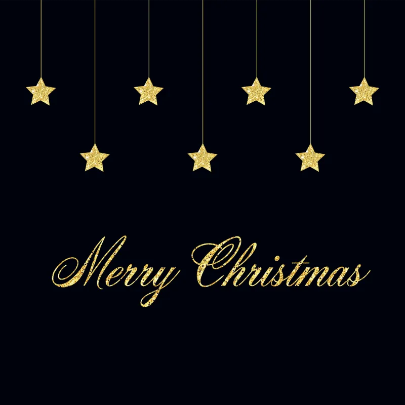 Winter Merry Christmas Stickdatei – Weihnachten