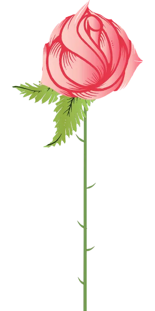 Rose Nature Pink Stickdatei