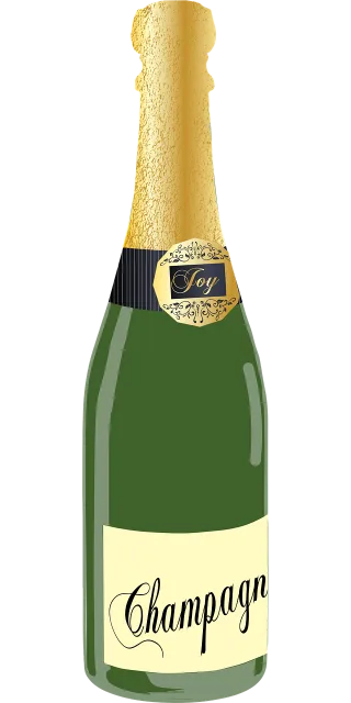 Champagne Bottle Party Stickdatei