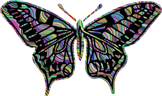 Butterfly Nature Insect Stickdatei