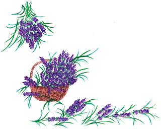 Lavender Lavender basket Watercolor Stickdatei