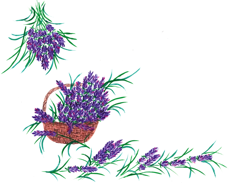 Lavender Lavender basket Watercolor Stickdatei – Blumen