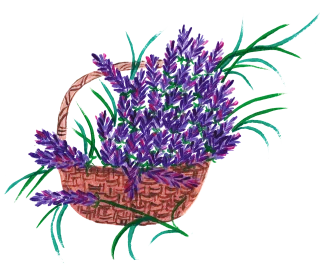 Lavender Lavender basket Watercolor Stickdatei