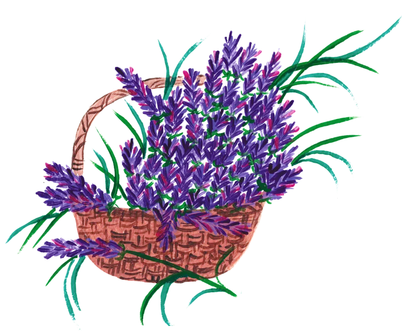 Lavender Lavender basket Watercolor Stickdatei – Blumen