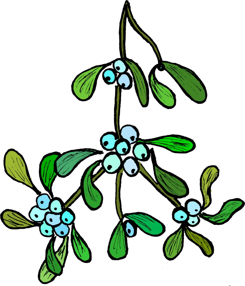 Mistletoe Christmas Blade Stickdatei – Herzen & Liebe