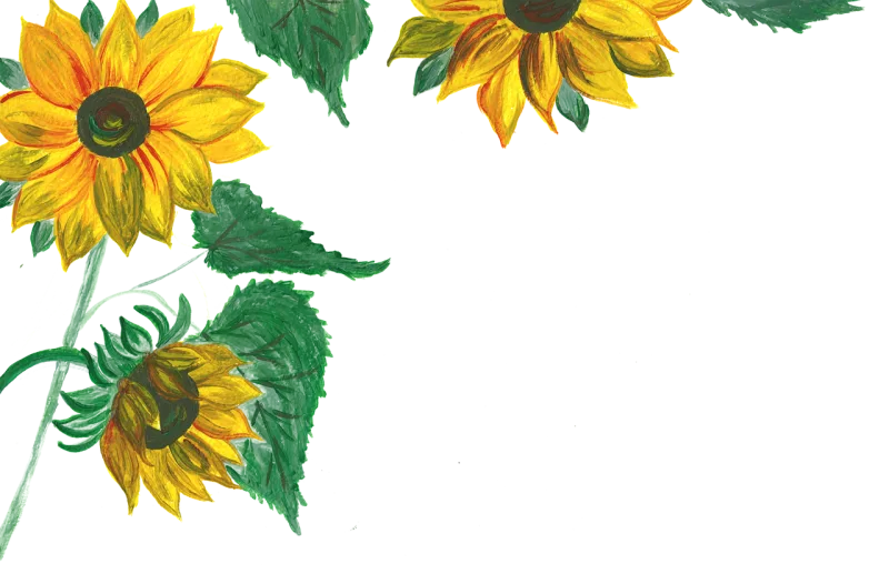 Sunflowers Yellow flowers Watercolor Stickdatei – Blumen