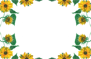 Sunflowers Yellow flowers Watercolor Stickdatei