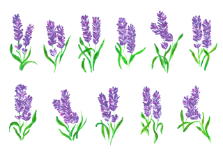 Lavender Purple flowers Watercolor Stickdatei