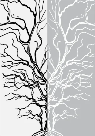 Tree Nature Roots Stickdatei
