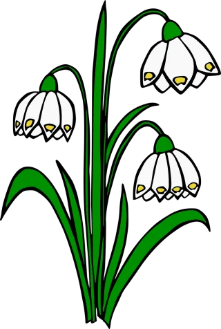 Snowdrops Lilies of the valley White flowers Stickdatei