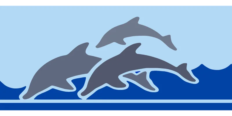 Dolphins Sea Digital drawing Stickdatei – Tiere