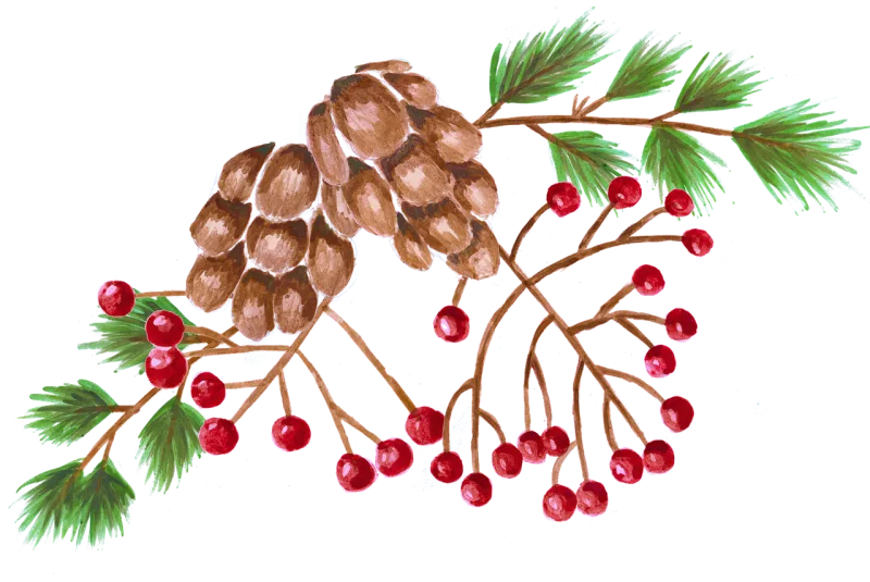 Rowan berry Pine cone Pine needles Stickdatei – Weihnachten