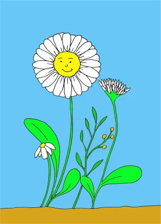 Daisies Beautiful flowers Flowers Stickdatei – Blumen