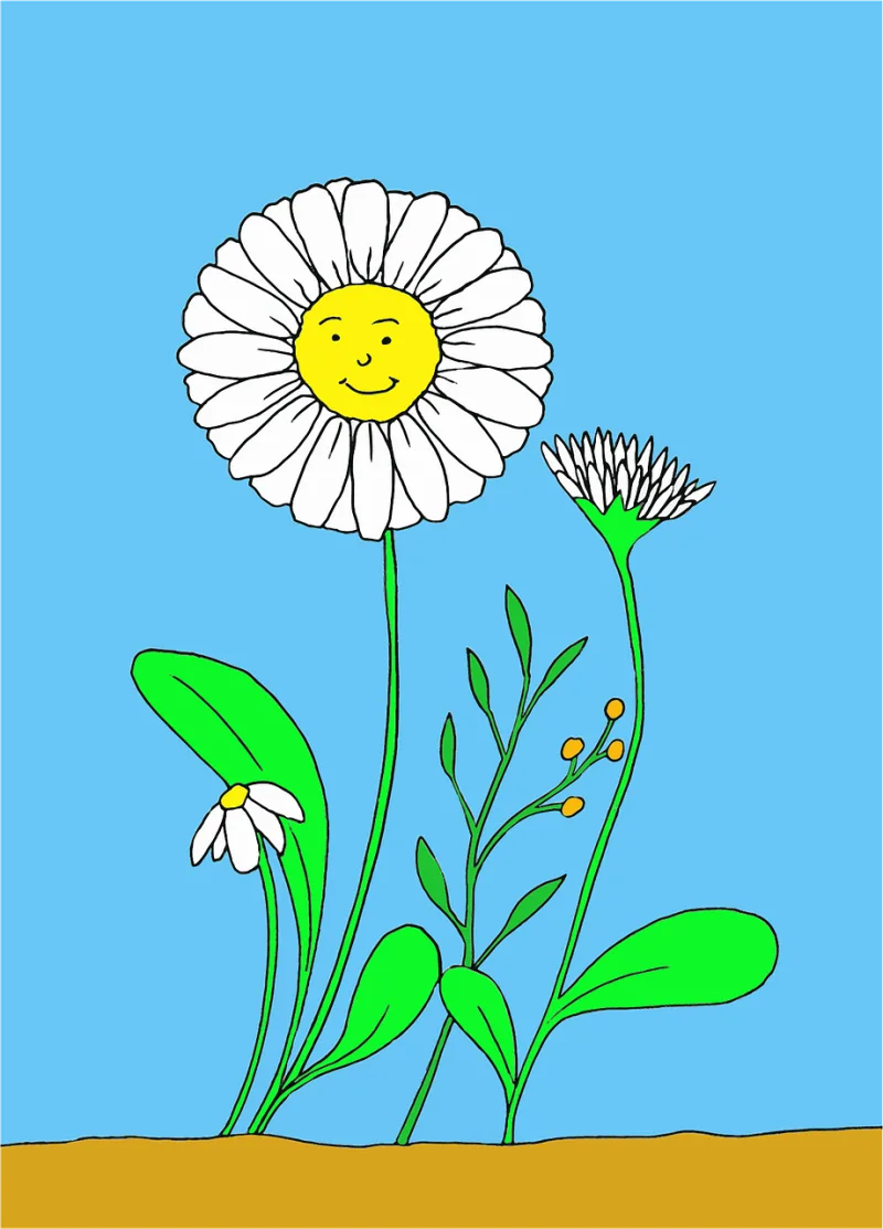 Daisies Beautiful flowers Flowers Stickdatei – Blumen