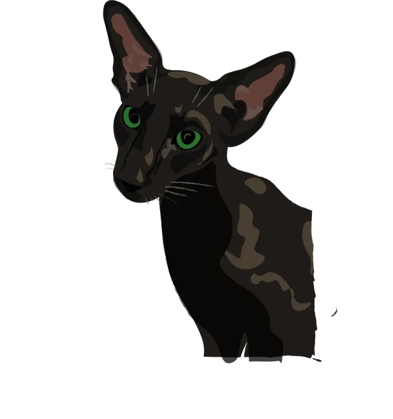 Oriental Cat Green eyes Stickdatei – Tiere