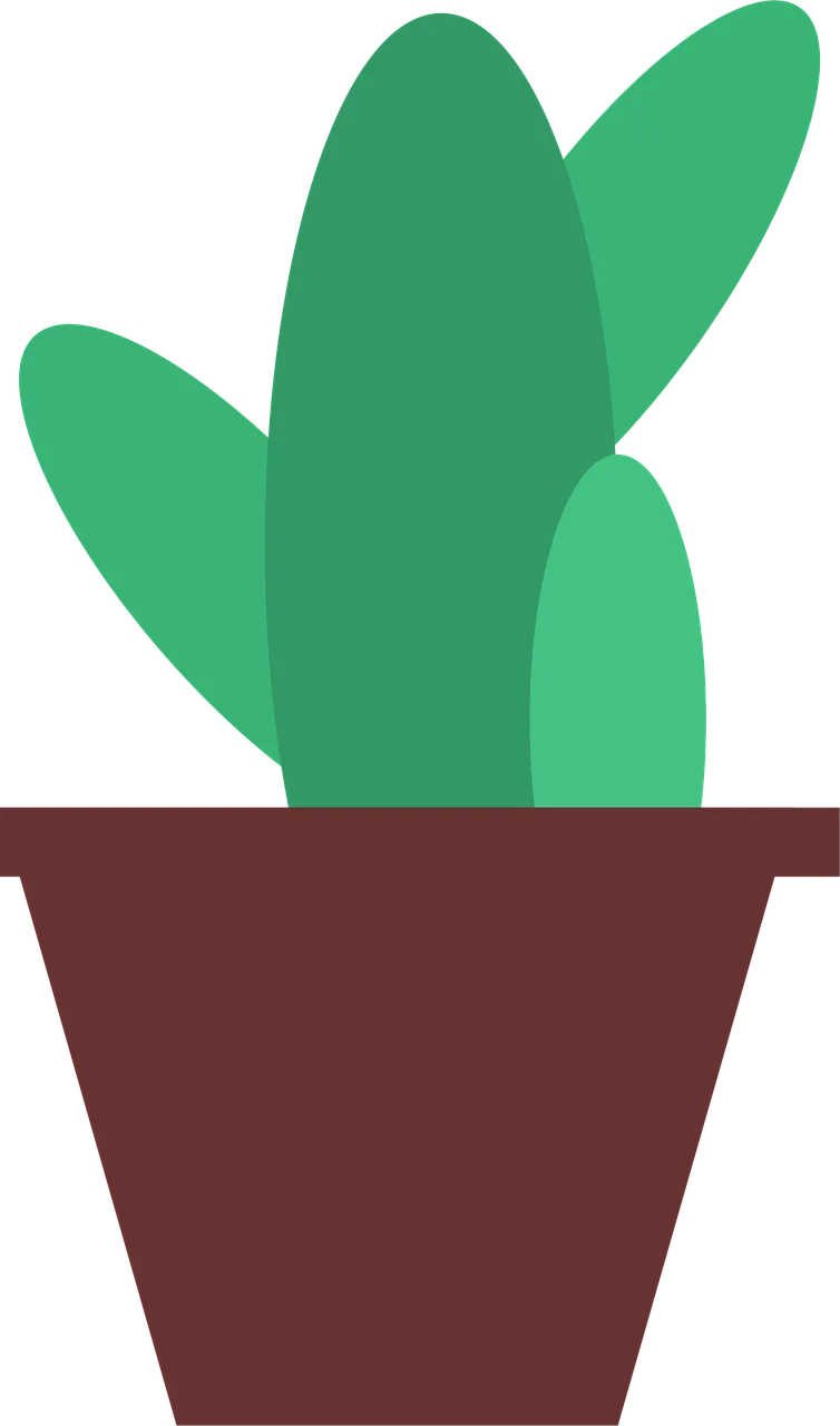 Cactus Plant Cacti Stickdatei – Natur