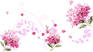 Flowers Petals Nature Stickdatei