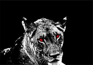 Lion Eyes Red Stickdatei