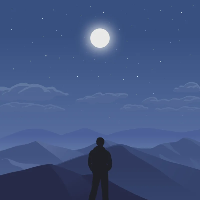 Man Night sky Nature Stickdatei – Natur