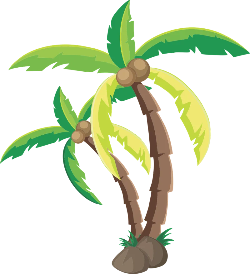 Coconut Palm tree Coconut tree Stickdatei – Natur