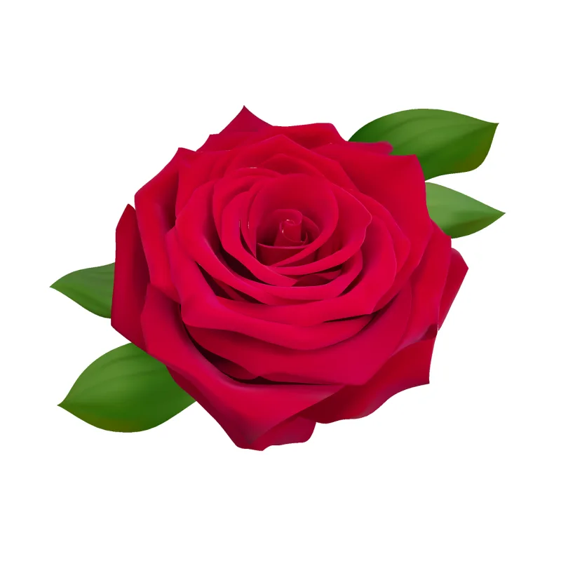 Rose Red rose Red flower Stickdatei – Blumen