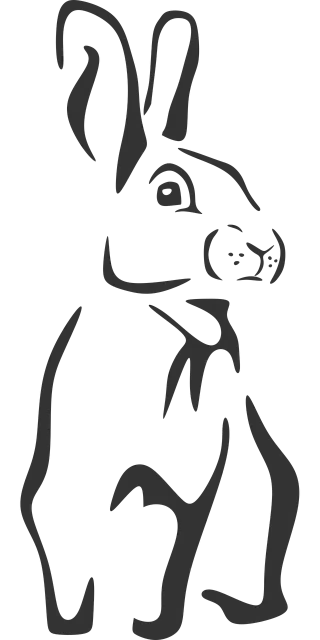 Hare Nature Rabbit Stickdatei