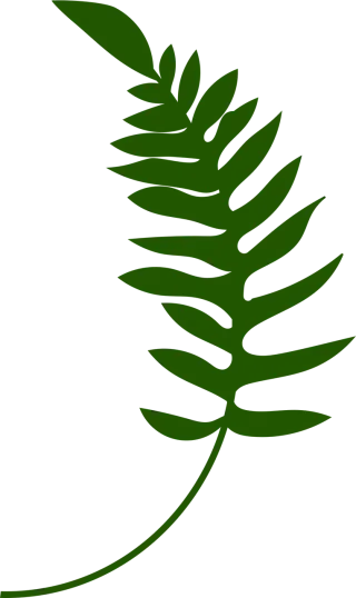 Leaves Branches Foliage Stickdatei