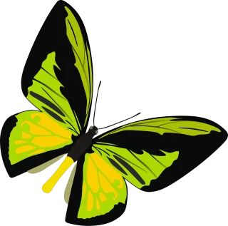 Insect Butterfly Cutout Stickdatei – Tiere