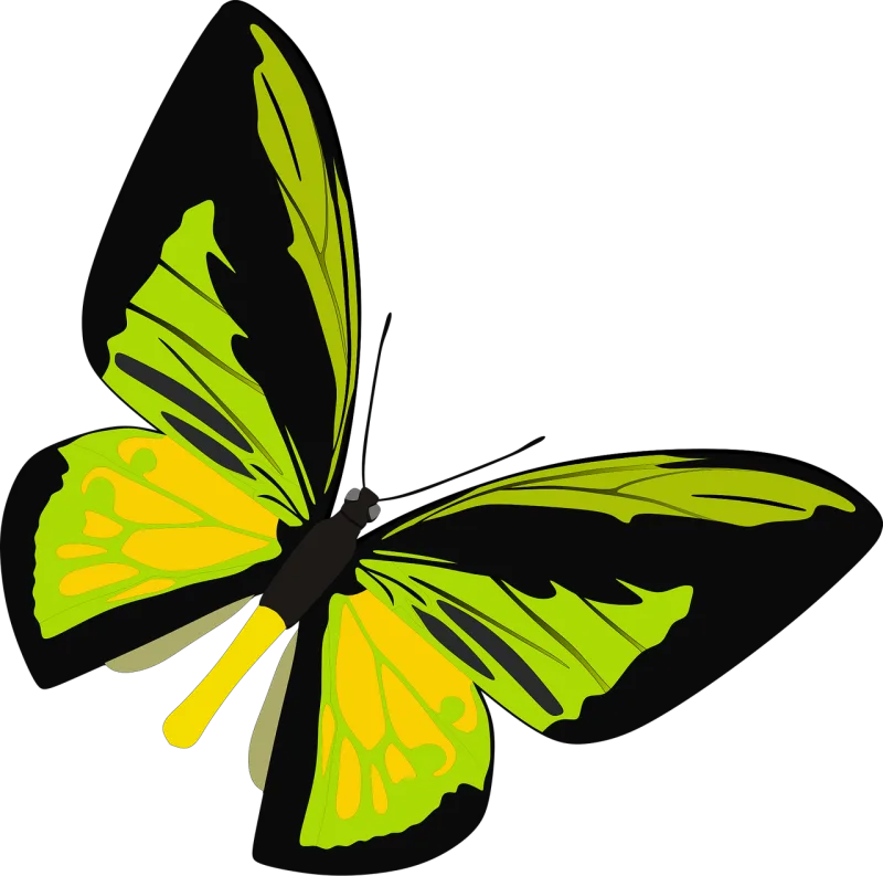 Insect Butterfly Cutout Stickdatei – Tiere