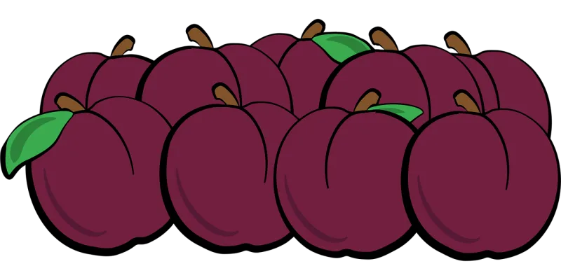 Plums Fruit Food Stickdatei – Essen & Trinken